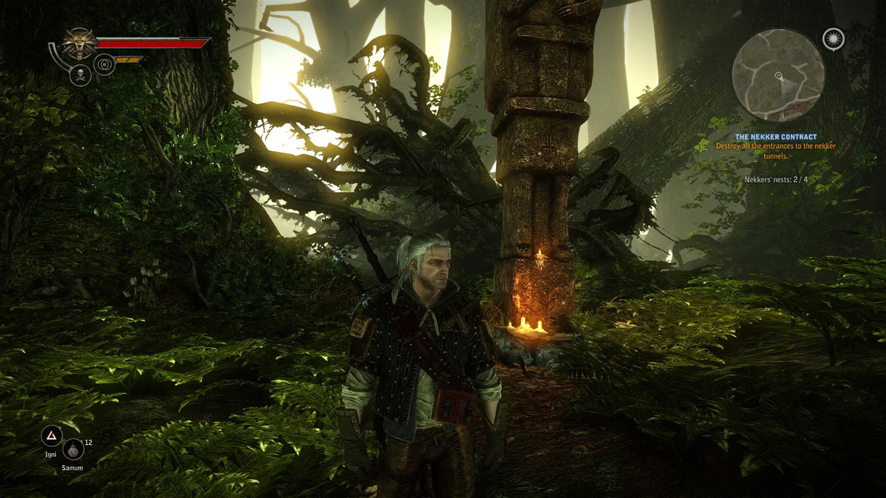 minimap_witcher